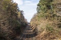 View of the railroad tracks. Royalty Free Stock Photo