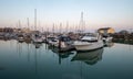 View of Ramsgate Royal Harbour taken in the early evening light, with the masts of the yachts reflected in the water.