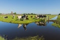 View on Ransdorp with Cows Royalty Free Stock Photo