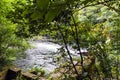 View of the rapids of the river Eume with the shores covered wit