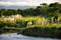 Rapti river bank in Chitwan National Park, Sauraha, Nepal, Asia Royalty Free Stock Photo