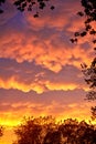 Rare Mammatus Clouds framed by Trees after a Storm in the Midwest during Summer Royalty Free Stock Photo