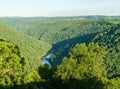 View from Raven Rock in Coopers Rock State Forest WV