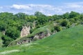 View ravine covered with greenery. Landscape valley with geological faults.