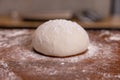 Raw Dough Which Rest Before Putting the Dough into the Oven Royalty Free Stock Photo