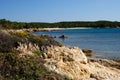 View of Razza di Junco beach, Costa Smeralda