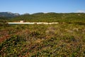 View of Razza di Junco beach, Costa Smeralda Royalty Free Stock Photo