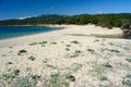 View of Razza di Junco beach, Costa Smeralda