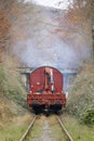 View on rear wagon of maintenance train through forest