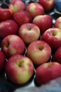 View of red apples placed on a packing tray