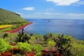 View of red beach and lagoon of Rabida Island in Galapagos National Park, Ecuador Royalty Free Stock Photo