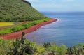 View of red beach and lagoon of Rabida Island in Galapagos National Park, Ecuador Royalty Free Stock Photo