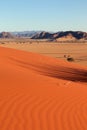 Red dunes in Sossusvlei in Namibia Royalty Free Stock Photo