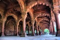 View of the Red Fort in Delhi (India).