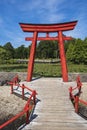 Red Japanese gate in front of a pond Royalty Free Stock Photo