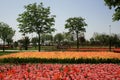 A view of red and orange colored tulips in a big city garden in Istanbul in spring time