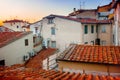 View of red roofs in Florence Royalty Free Stock Photo