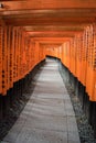 View of Red Tori Gate at Fushimi