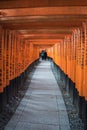 View of Red Tori Gate at Fushimi