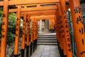 View of red Tunnel of Torii gate to Gojo Tenjinsha Shrine in Ueno park of Tokyo, Japan