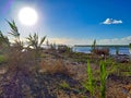View from the reeds, beach of the salt pans of Albinia..A few steps from the town of Albinia Royalty Free Stock Photo