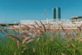 View through reeds of Julphur Towers and Geometric architectural shapes through the reeds at Manar mall in Ras al Khaimah, United