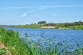 View through reeds near river and green meadow with clear sky at summer Royalty Free Stock Photo