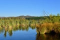 A view of Lake Wallace in New South Wales