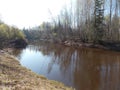 The view of reflection of spring forest in the river.