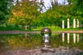Summer Lensball Reflections In A Puddle Royalty Free Stock Photo