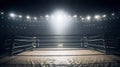 View of a regular boxing ring surrounded by blue ropes spotlit by a spotlight Royalty Free Stock Photo