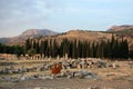 View of the remains of the city of Hierapolis, Turkey