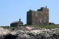 Prior Castels Tower, Guillemots, Farne Islands Royalty Free Stock Photo