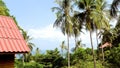 View from resort house on tropical palm trees and blue sea and sky on background. Summer vacation in Thailand. Wooden Royalty Free Stock Photo