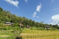 View of rice farm and cloudy blue sky by local people in mountain, northern part of Thailand