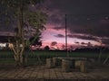 the view of the rice fields in the afternoon Royalty Free Stock Photo