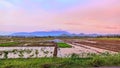 view of rice fields in Central Java, beautiful mountains towering high Royalty Free Stock Photo