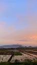 view of rice fields in Central Java, beautiful mountains towering high Royalty Free Stock Photo