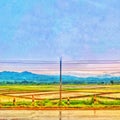 the view of the rice fields even though it is colored but looks blurry. Royalty Free Stock Photo