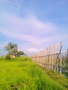 landscape with fence and sky