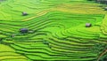 View of the rice fields at Lao Chai village in Laocai province, northern Vietnam Royalty Free Stock Photo