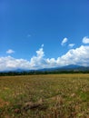 View of the rice fields and mountains in the village Royalty Free Stock Photo