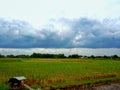 the view of the rice fields after the rice harvest and the dark clouds in the sky Royalty Free Stock Photo