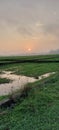 View of the rice fields at sunrise in the village of Karang Kemiri Indonesia Royalty Free Stock Photo