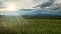 The view of the rice fields before the sunset Mountain, Sky, Clouds, all of it very beautiful Royalty Free Stock Photo