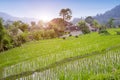 View on rice terraces, Bali, Indonesia Royalty Free Stock Photo