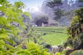 View on rice terraces, Bali, Indonesia Royalty Free Stock Photo