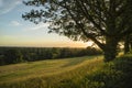 View from Richmond Hill in London over landscape during beautifu Royalty Free Stock Photo