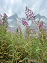 The view from Rifugio Walter Bonatti on The Tour de Mont Blanc Royalty Free Stock Photo