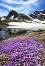 View of Rila mountain, Bulgaria Royalty Free Stock Photo